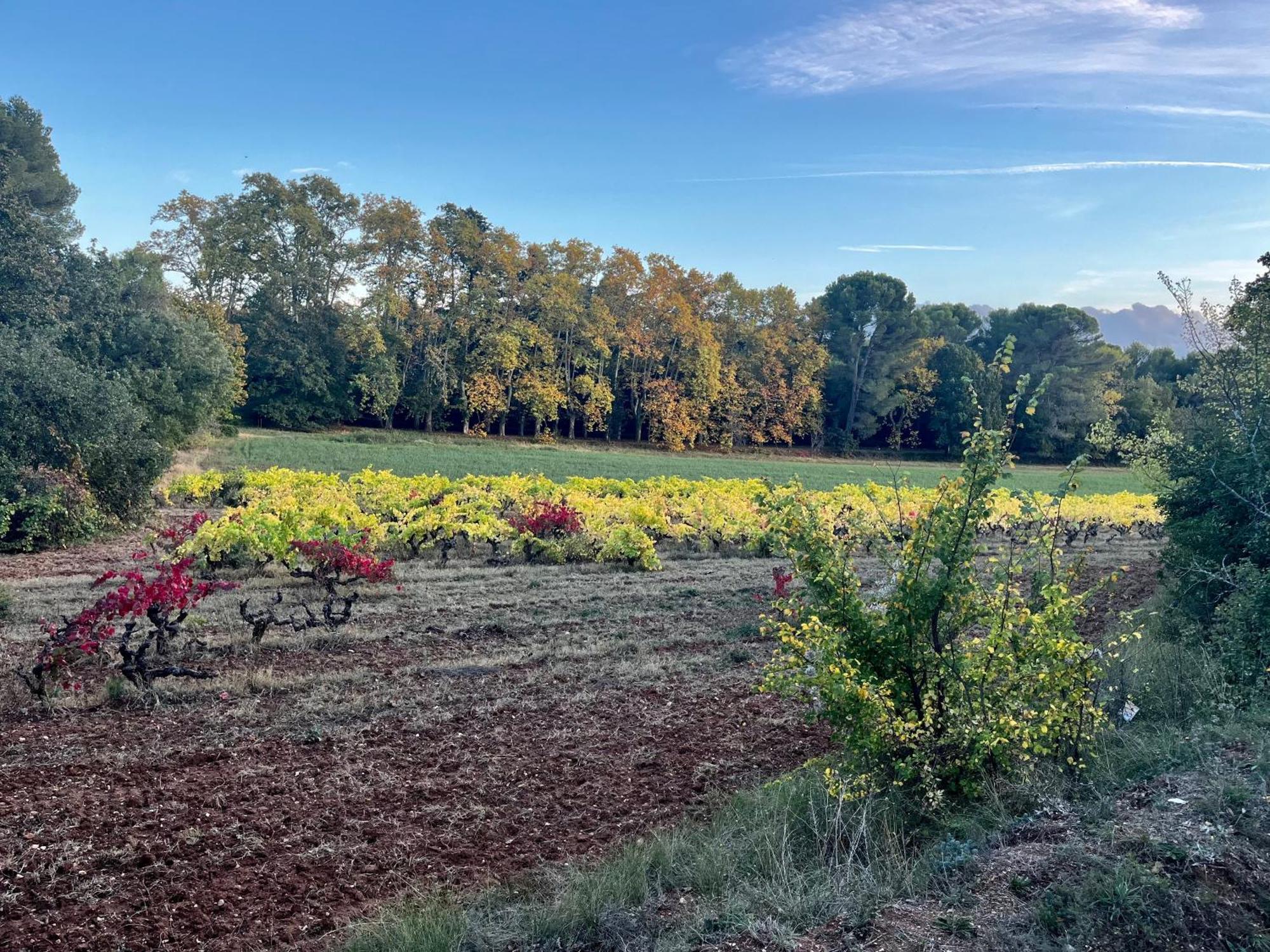 Maison Provencale Au Calme De La Campagne Avec Jacuzzi *